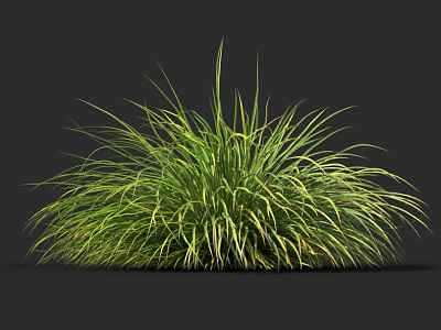 Lush Green and Yellow Grass Clump with Tall Leaves on Dark Background 3d model