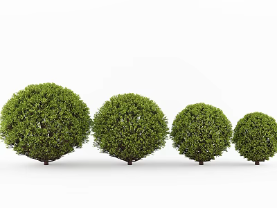 Modern shrub hedgerow tree ball 3d model Modern shrub hedgerow tree ball 3d model