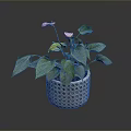 Potted Plant With Green Leaves And Pink Flowers In Woven Pattern Pot