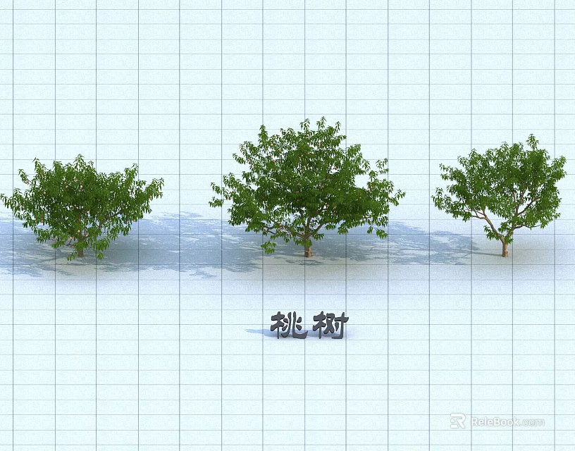Peach Trees As Arbor With Different Sizes And Green Foliage In Grid Background 3d model