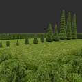 Botanical Painting With Well Trimmed Trees Lush Lawn And Various Height Plants On Dark Background