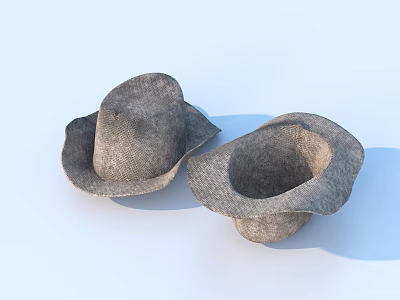 Hat Hat Fashion Hat 3d model