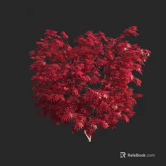 Vibrant Red Leaf Arbor With Lush Dense Foliage And Black Background 3d model