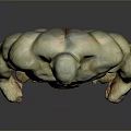 Muscular Green Skinned Game Movie Character Wearing Red Shorts With Strong Build
