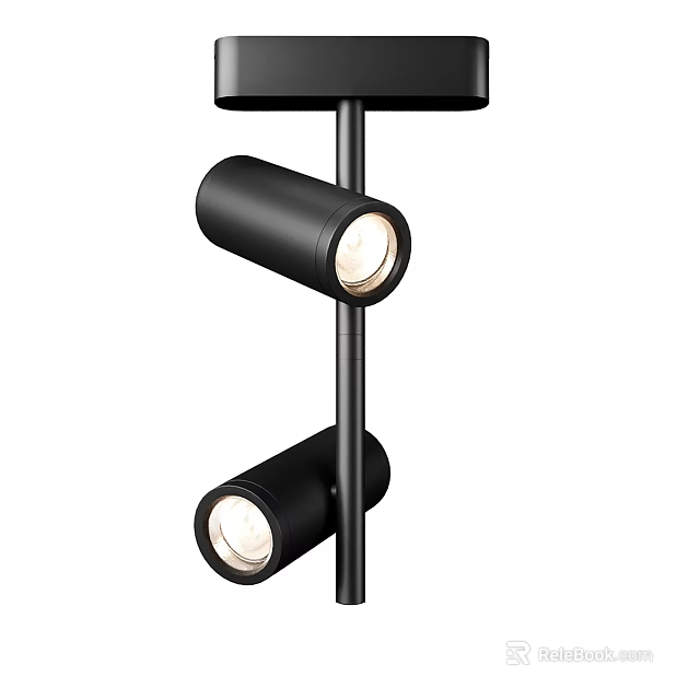 Modern Black Downlight Spotlight With Double Heads Track Mounted For Home Lighting 3d model