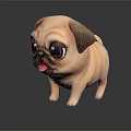 Adorable Light Brown Pug With Big Eyes Standing On Black Reflective Surface And Tongue Out