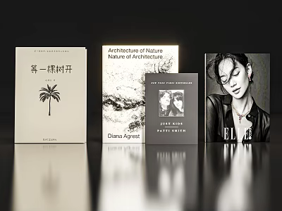Decorative Ornament Set Stylish Book and Magazine Collection with Diverse Cover Designs for Home Decor 3d model