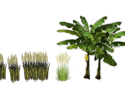 Various Agricultural Crops Including Banana Trees And Rice Plants In Growth 3d model