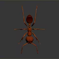 Detailed Red Ant 3D Model With Shiny Exoskeleton And Reflective Surface Rendering 3d model
