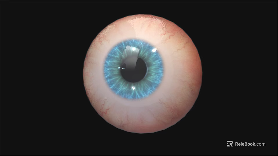 Human Eyeball Featuring Blue Pupil Iris and White Sclera on Black Background 3d model 