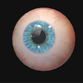 Human Eyeball Featuring Blue Pupil Iris and White Sclera on Black Background