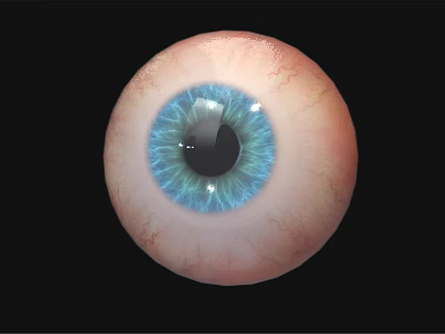 Human Eyeball Featuring Blue Pupil Iris and White Sclera on Black Background 3d model