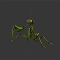 Detailed Green Praying Mantis Figure With Serrated Forelegs And Antennae