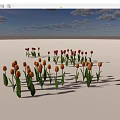 Vibrant Red Orange Tulips With Green Leaves On White Background Under Blue Sky Clouds