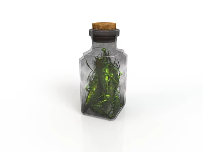 Decorative Clear Glass Bottle Featuring Cork Stopper And Green Plant Leaves Inside 3d model