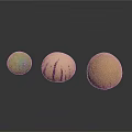 Three Exotic Fruits With Green Purple Striped And Tan Skin Displaying Unique Patterns