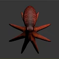 Red Octopus With Detailed Long Tentacles In Realistic 3D Rendered Model 3d model