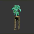 Lush Green Monstera Plant In Black Pot On Black Metal Stand