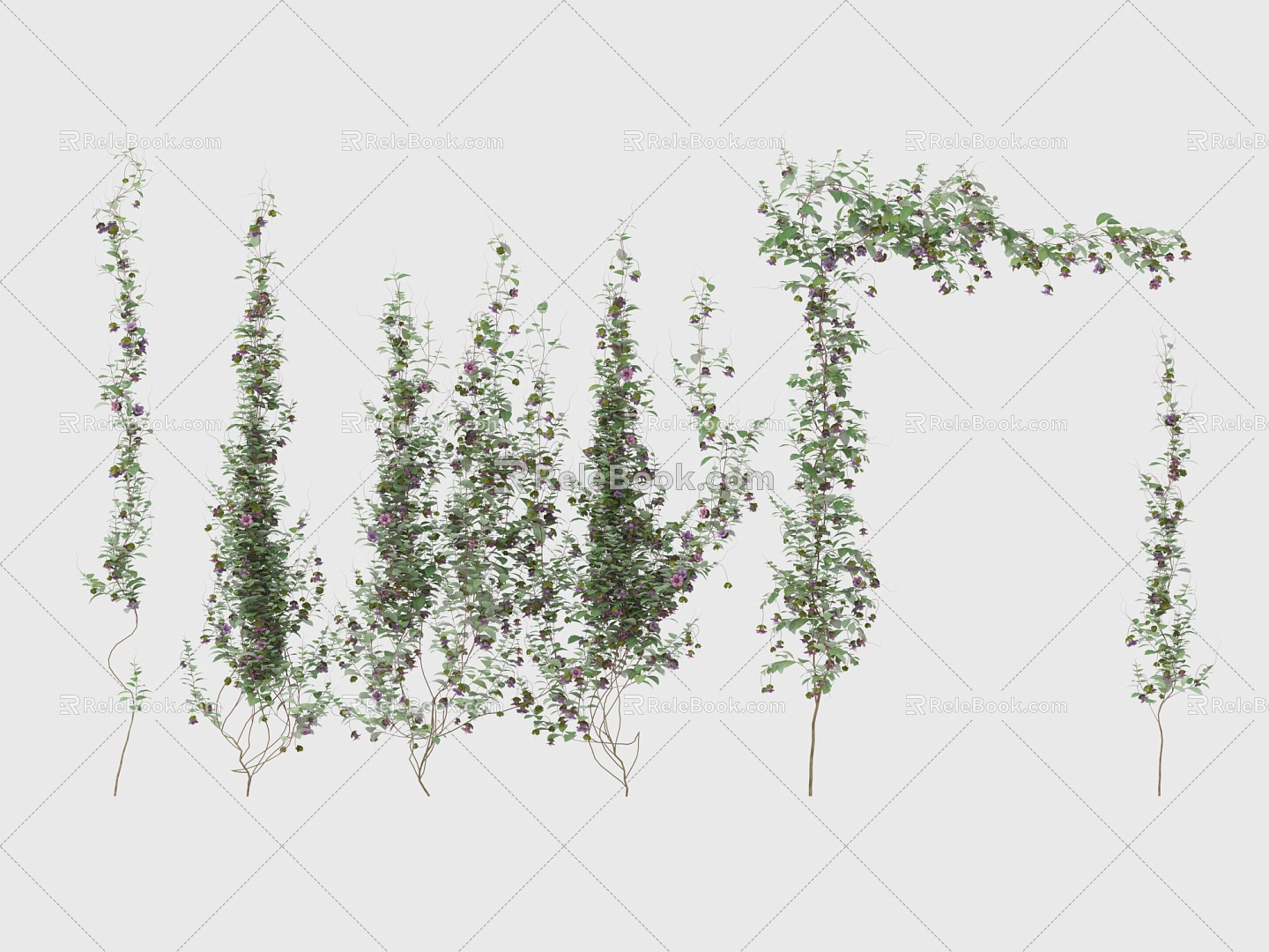 Modern Vine Vine Plants 3d model