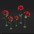 Five Red Roses With Green Stems Arrangement On Dark Background 3d model