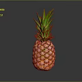 Fresh Ripe Pineapple With Green Leafy Top And Orange Yellow Skin