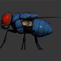 Fly With Red Eyes Blue Body Transparent Wings And Black Legs On Dark Background