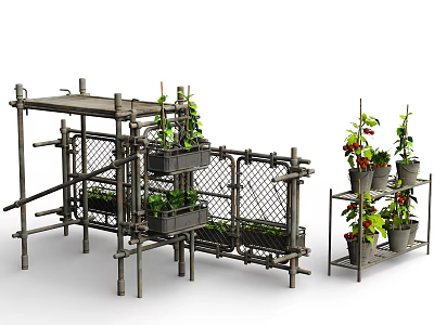 Creative Metal Garden Structure With Hanging Basket Plants And Red Berries 3d model