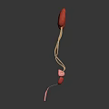 Detailed Human Urinary System Anatomy With Kidneys Ureters And Bladder