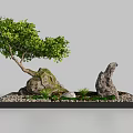 Rockery Stones Decorative Setup With Green Tree Small Pebbles And Plants In Black Tray