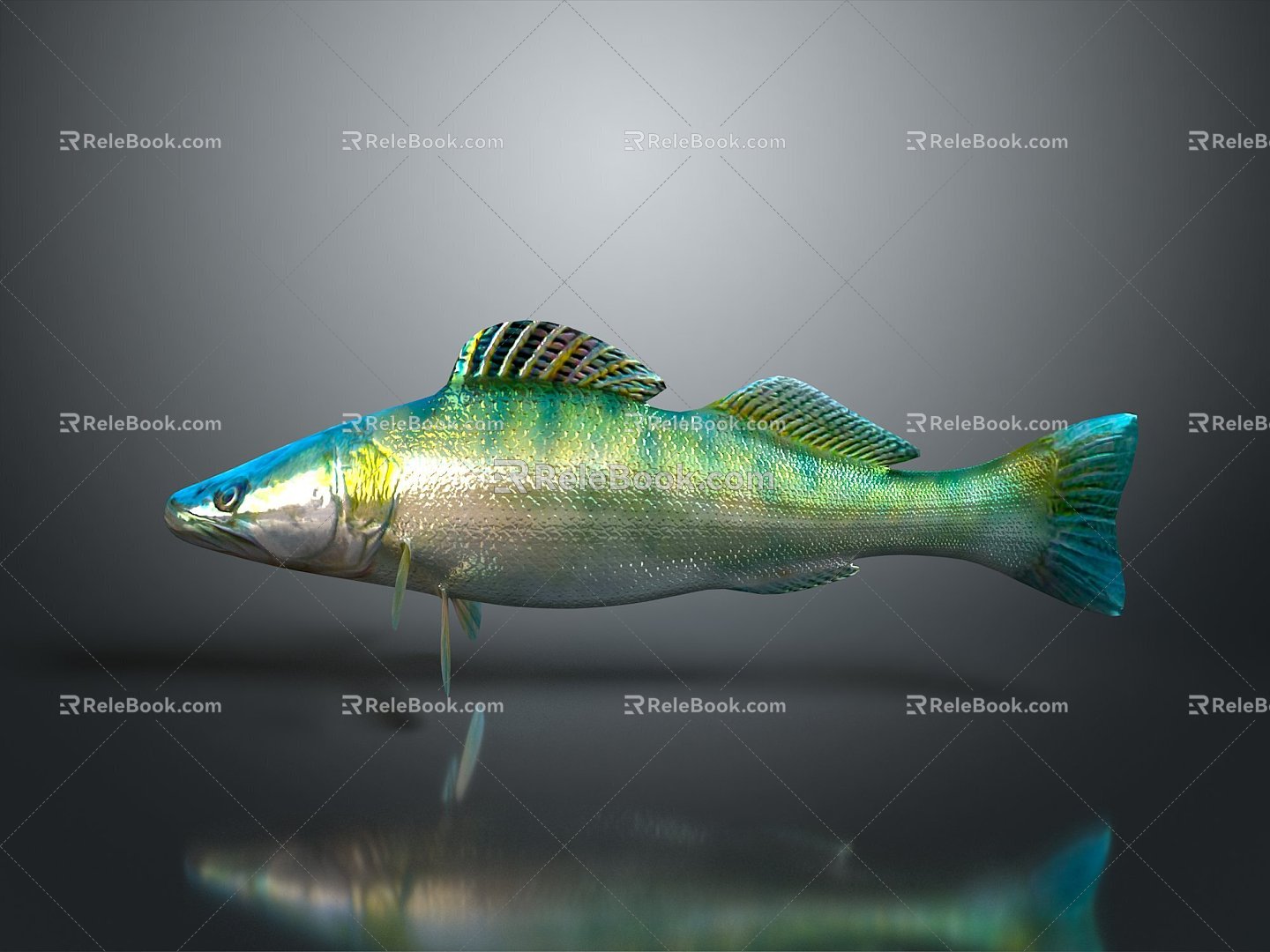 Fish Freshwater Fish Sea Fish Animal Game Animal Cartoon Animal Realistic Animal 3d model