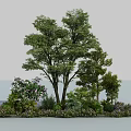 Small Floral Landscape Featuring Trees Shrubs Pink White Flowers And Herbs
