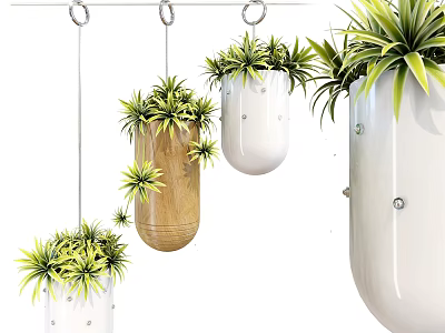 Hanging Decorative Plant Pot Set With White Wooden Planters And Green Plants 3d model