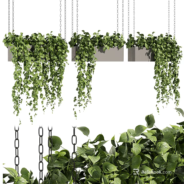 Lush Trailing Greenery In Hanging Planters For Stylish Indoor Home Decor 3d model 