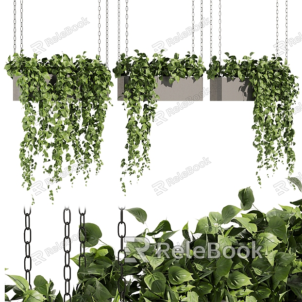 Modern hanging basket plant hanging basket model