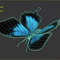 Blue and Black Butterfly with Iridescent Wings on Gray Gradient Background