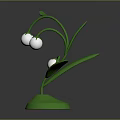 Green Decorative Plant with White Flowers Stems and Leaves on Base
