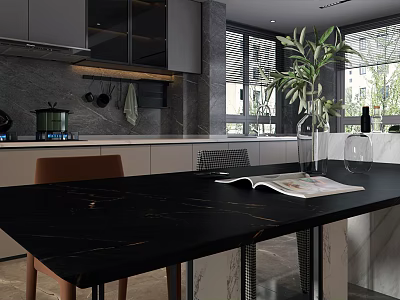Modern Living Dining Room Interior With Black Marble Table Chairs And Green Plant 3d model