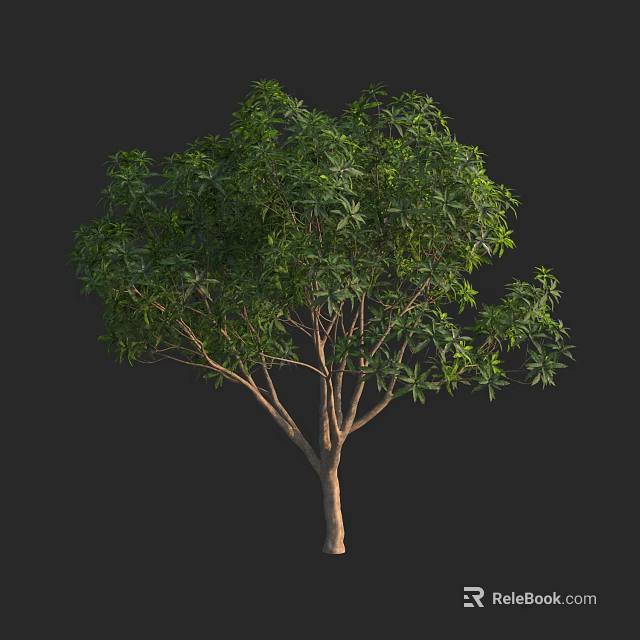 Healthy Arbor With Lush Green Foliage And Strong Branching Trunk 3d model 