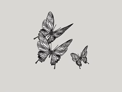 Three Elegant Flying Butterflies With Black Outline And Detailed Wing Patterns 3d model