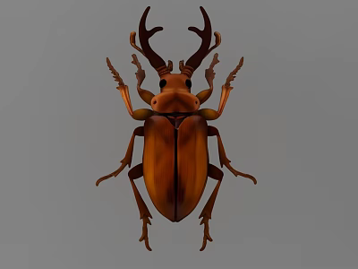 Brown Flying Beetle With Antlers Like Horns And Detailed Body Structure Close Up View 3d model