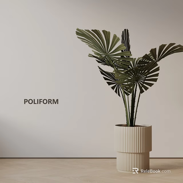 Poliform Potted Plant With Fan Shaped Leaves In Ribbed Pot Against Neutral Wall 3d model 