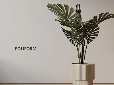 Poliform Potted Plant With Fan Shaped Leaves In Ribbed Pot Against Neutral Wall 3d model