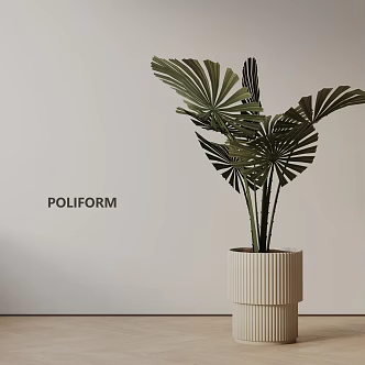 Modern Potted Plant 3d model