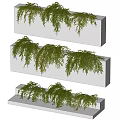 Green Decorative Vines In Various Hanging Forms For Interior Design