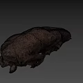 Ancient Fossil Skull With Brown Cracked Surface On Blue Background