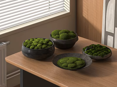 Moss Bonsai Plants In Black Pots On Wooden Table By Window With Blinds 3d model