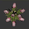 Elegant Pink Protea Flowers Arranged In Copper Vase With Green Leaves