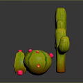 3D Rendered Green Cacti With Various Sizes Shapes Small Pink Decorations Gray Background Glossy Surface