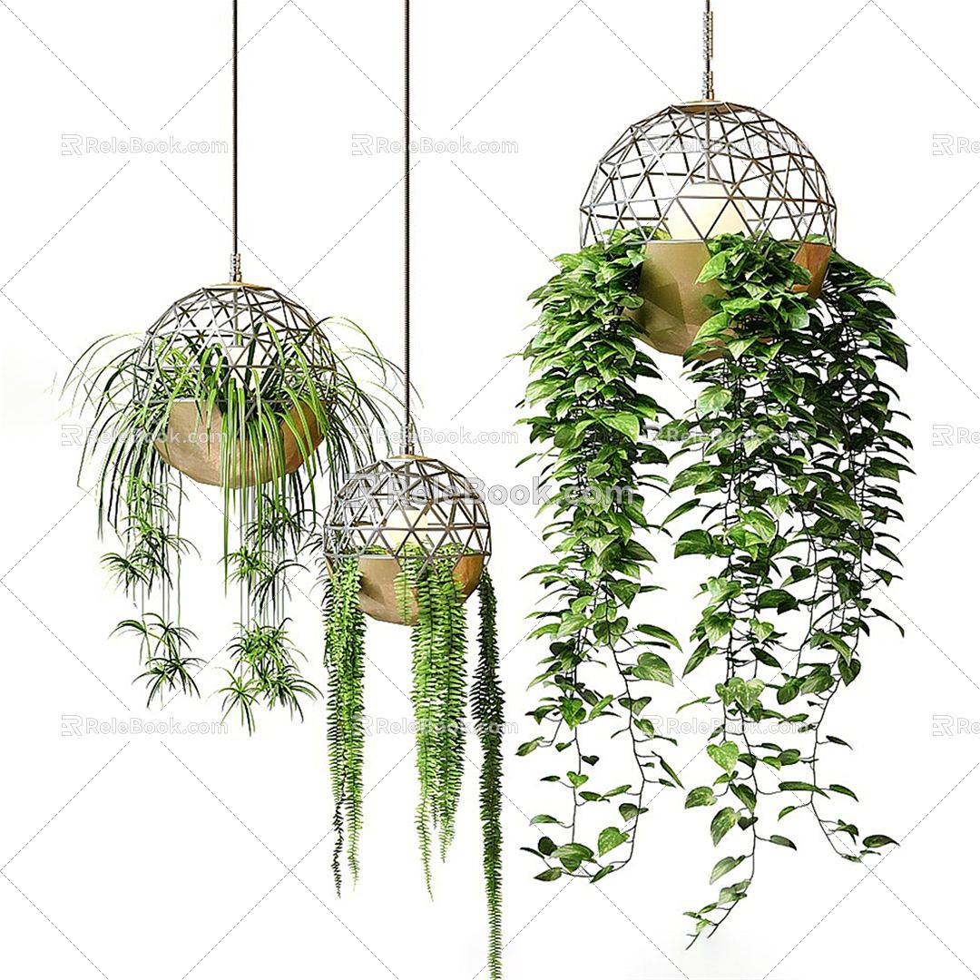 Modern hanging basket hanging orchid green plant 3d model