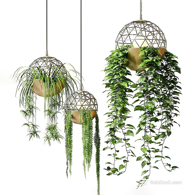Spherical Hanging Planters with Lush Cascading Green Plant Vines for Indoor Spaces 3d model 